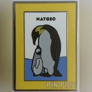 NEW Nat Geo d23 pin